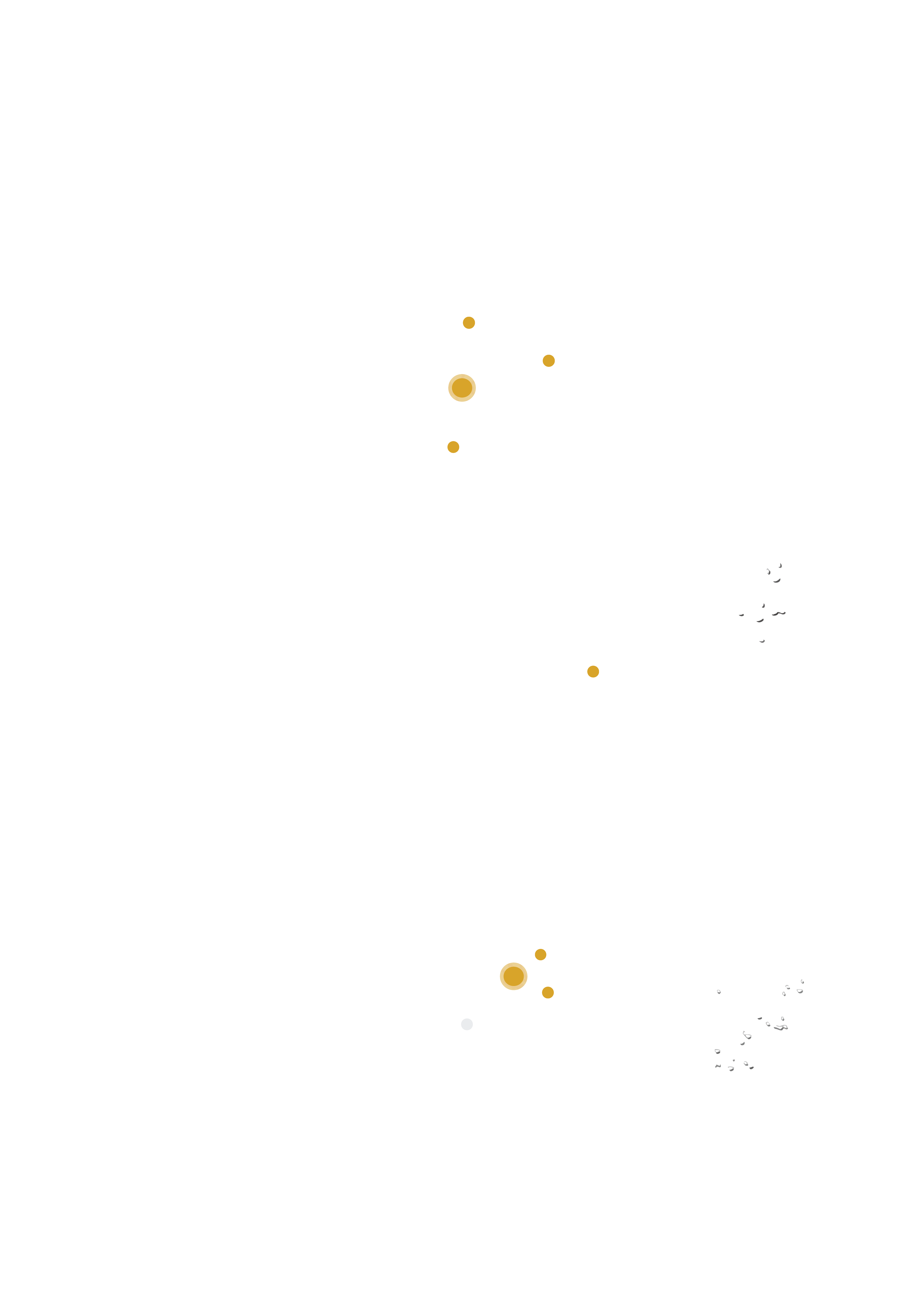 XCONS Branch Map